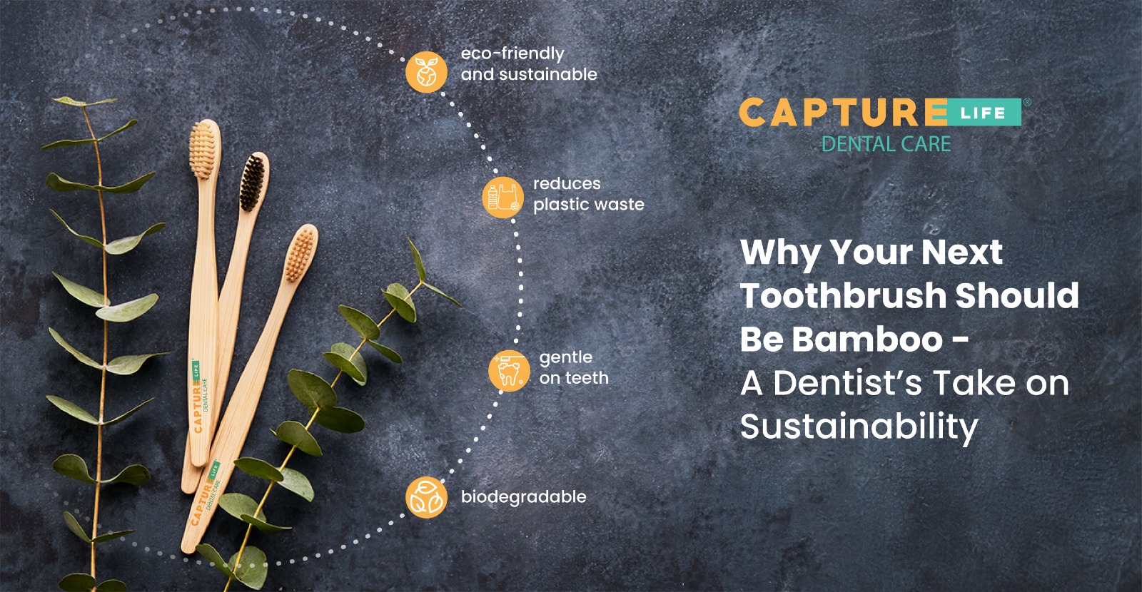 Why Your Next Toothbrush Should Be Bamboo – A Dentist’s Take on Sustainability