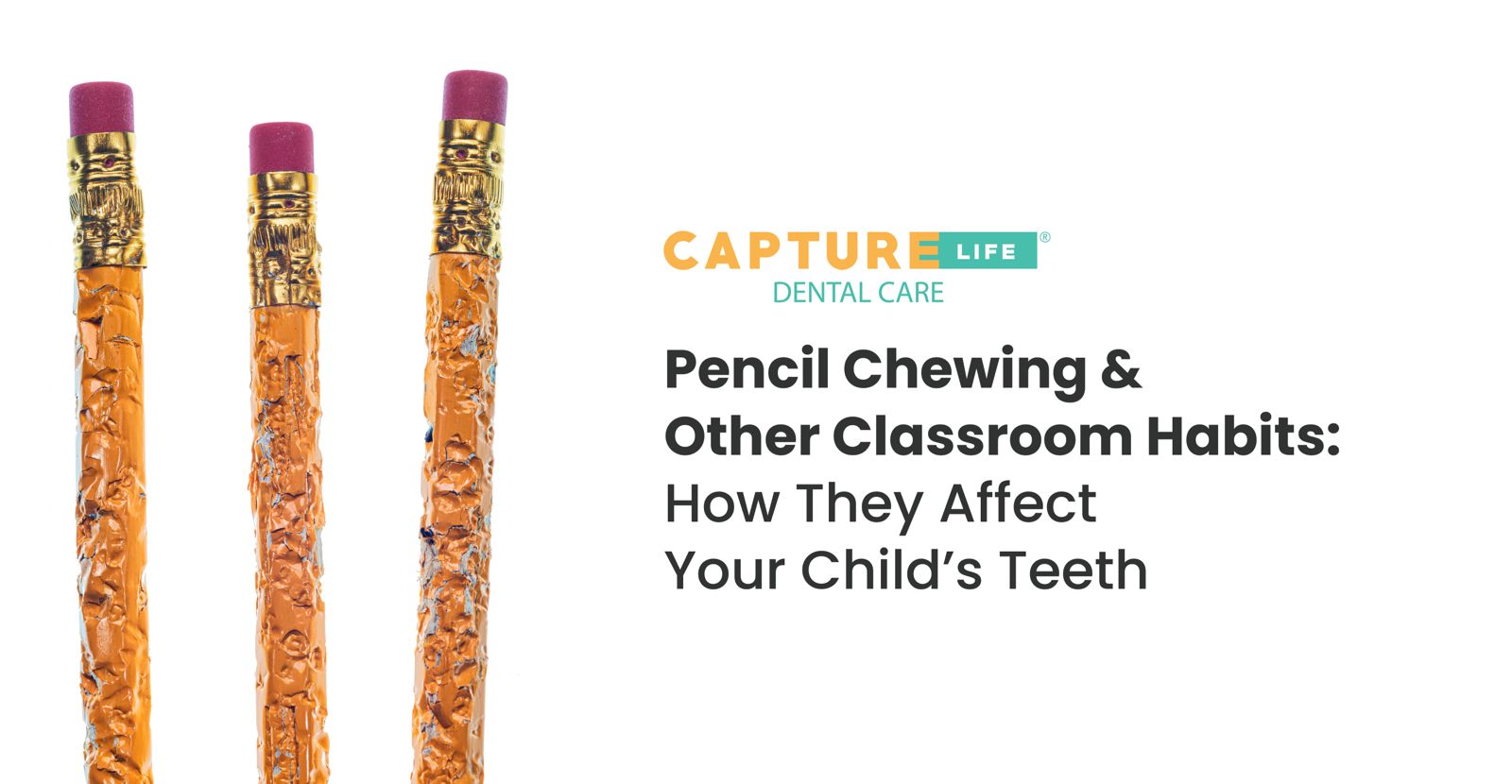 WhatsApp Image 2025-11-04 at 12.02.18 PM (1)