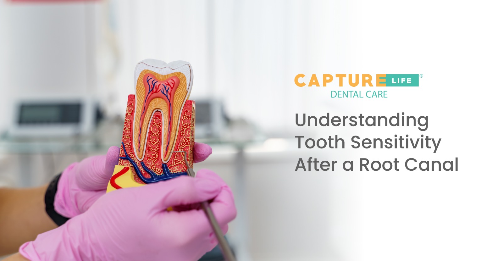 WhatsApp Image 2026-01-07 at 10.47.06 AM (1)